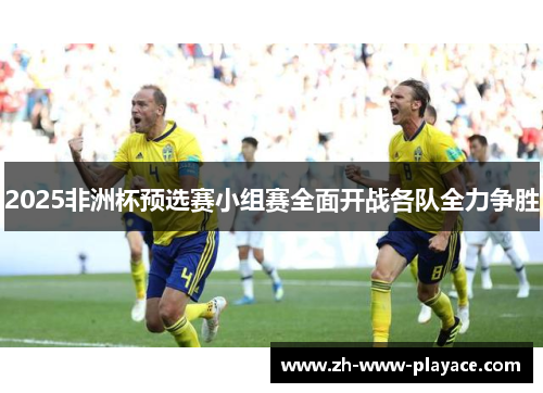 2025非洲杯预选赛小组赛全面开战各队全力争胜