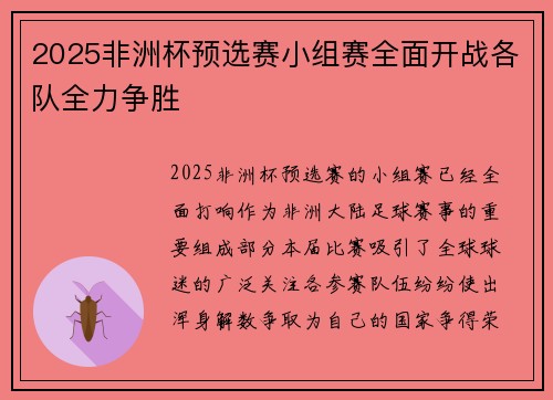 2025非洲杯预选赛小组赛全面开战各队全力争胜