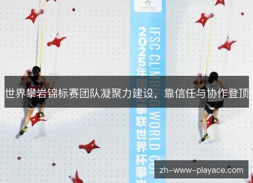 世界攀岩锦标赛团队凝聚力建设，靠信任与协作登顶